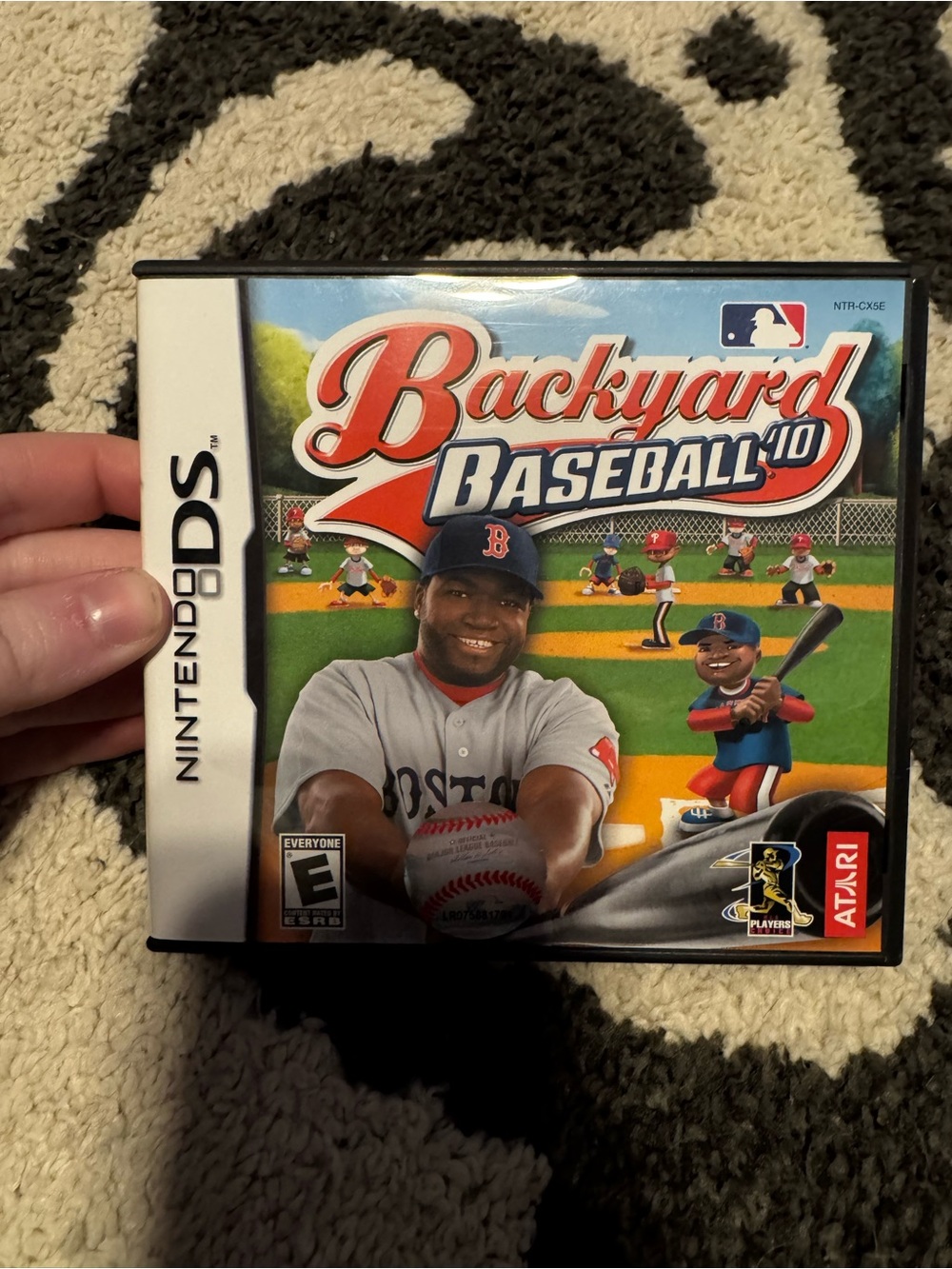 Nintendo Backyard Baseball DS – Blue, Red & Green Cover Art